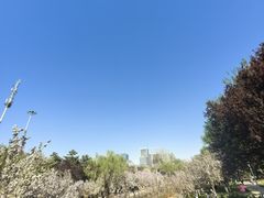 -元大都城垣遗址公园
