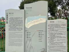 -江滩湿地公园