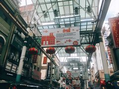 -罗汉果龙眼冰糖燉冬瓜