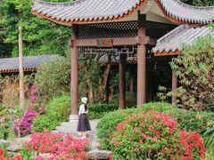 -广州市白云山风景名胜区