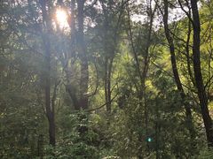 -碓臼峪自然风景区