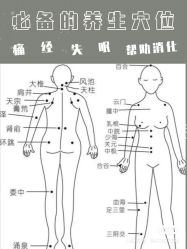 -香薇妮丝女子减肥院