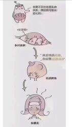 点击看大图 -漂亮妈妈通乳·塑形·产后恢复(奥体店)