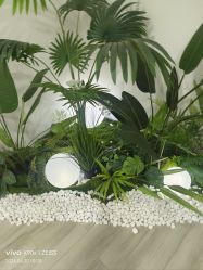-HEYAN荷妍专业脱毛连锁机构