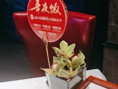 -大鸭梨烤鸭(顺义石园店)