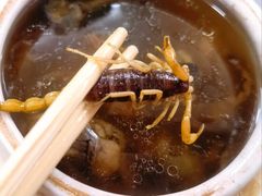 蝎子党参乌鸡汤-国英炖品店(甲子路店)