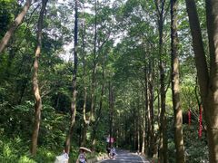 -广州市白云山风景名胜区