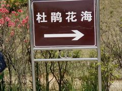 -大围山国家森林公园
