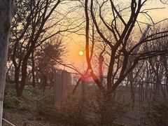 -合肥野生动物园