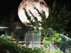 -恬阿姨庭院餐厅·生日宴