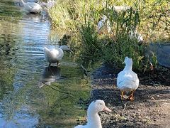 -长春市南湖公园