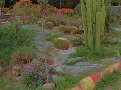 -松山湖梦幻百花洲