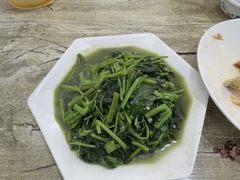-品雅轩农家乐