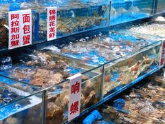 水产区-渔人湾码头海鲜市场负二楼