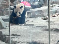 -武汉动物园