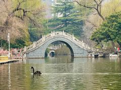 -西苑公园