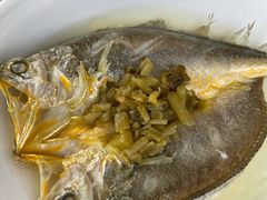 雪菜笋丝蒸大黄鱼-芳满庭·江浙小馆(1912店)
