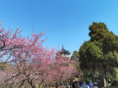 -无锡梅园公园