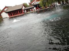 -百脉泉景区