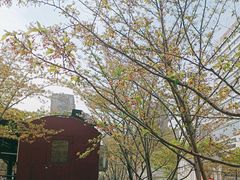 -新天地活力PARK