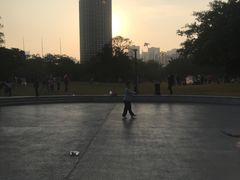 -万绿园