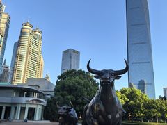 -陆家嘴中心绿地