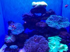 -多彩贵州城极地海洋世界