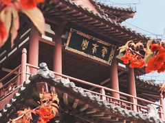 -西安青龙寺遗址景区