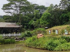 -广州市白云山风景名胜区