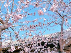 -三里河公园