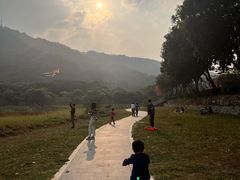 -风云岭森林公园