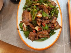 -向外鱼乐·土菜·虹鳟鱼