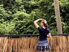 -西双版纳原始森林公园
