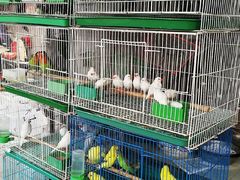 -九龙里集市(六安里店)