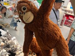 -宜家家居(高新商场店)