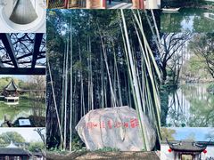 -上海醉白池公园