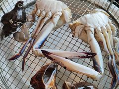 -海味当家·蒸锅海鲜(星海公园店)