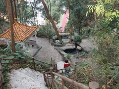 -广州市流溪河国家森林公园