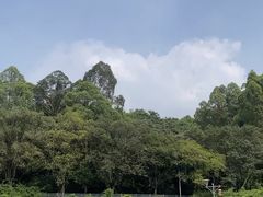 -南国桃园旅游度假区