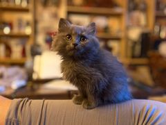 -云端咖啡私房店(河松街店)