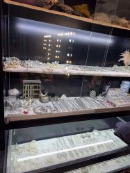 -鼎极摄影(世纪金源店)
