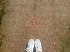 android_upload_pic-青岛第二海水浴场