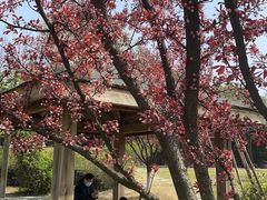 -白塘生态植物园