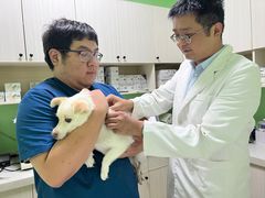 -圣宠动物医院·犬猫专科·影像中心·外科中心