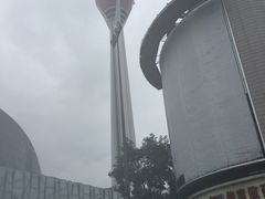 -339旋转餐厅(天府熊猫塔店)