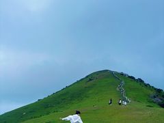 -大姆山草场