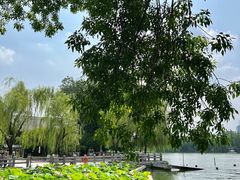 -济南大明湖景区