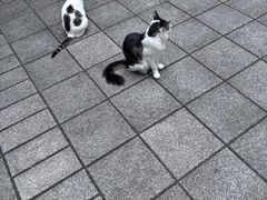 -晓港公园