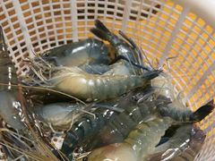 -三个渔夫·蒸汽海鲜(小白楼店)