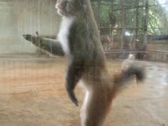 -广东茂名森林公园